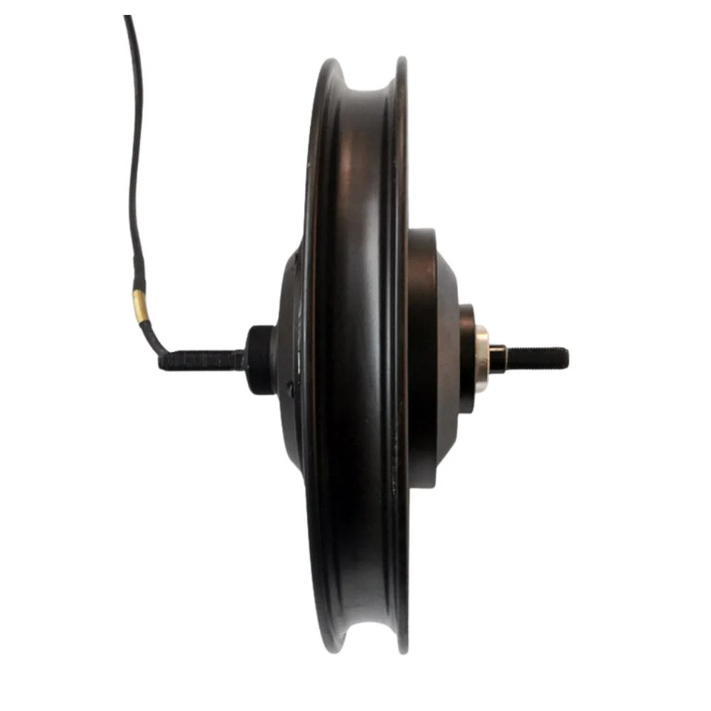 VIVI Bike 16 Inch Fat Tire Integrated Rear Wheel Set - Image 13