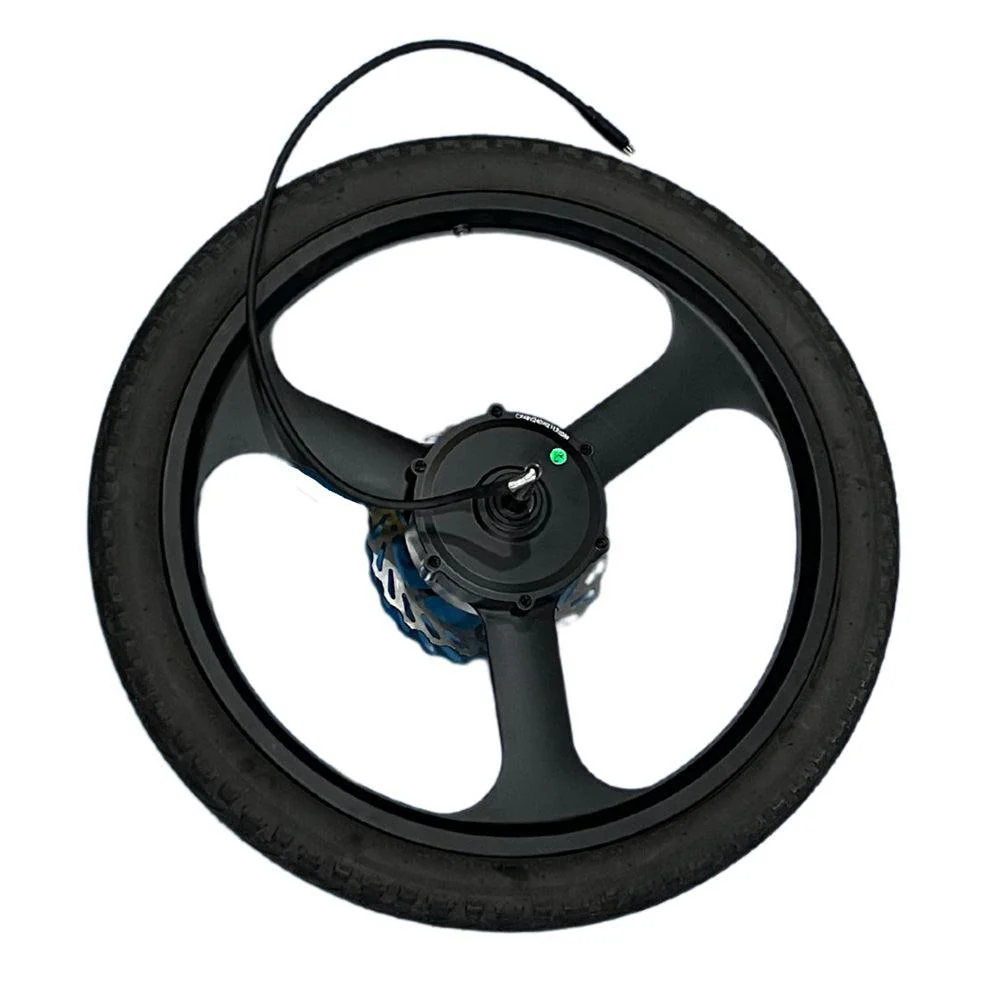 VIVI Bike 16 Inch Fat Tire Integrated Rear Wheel Set - Image 17