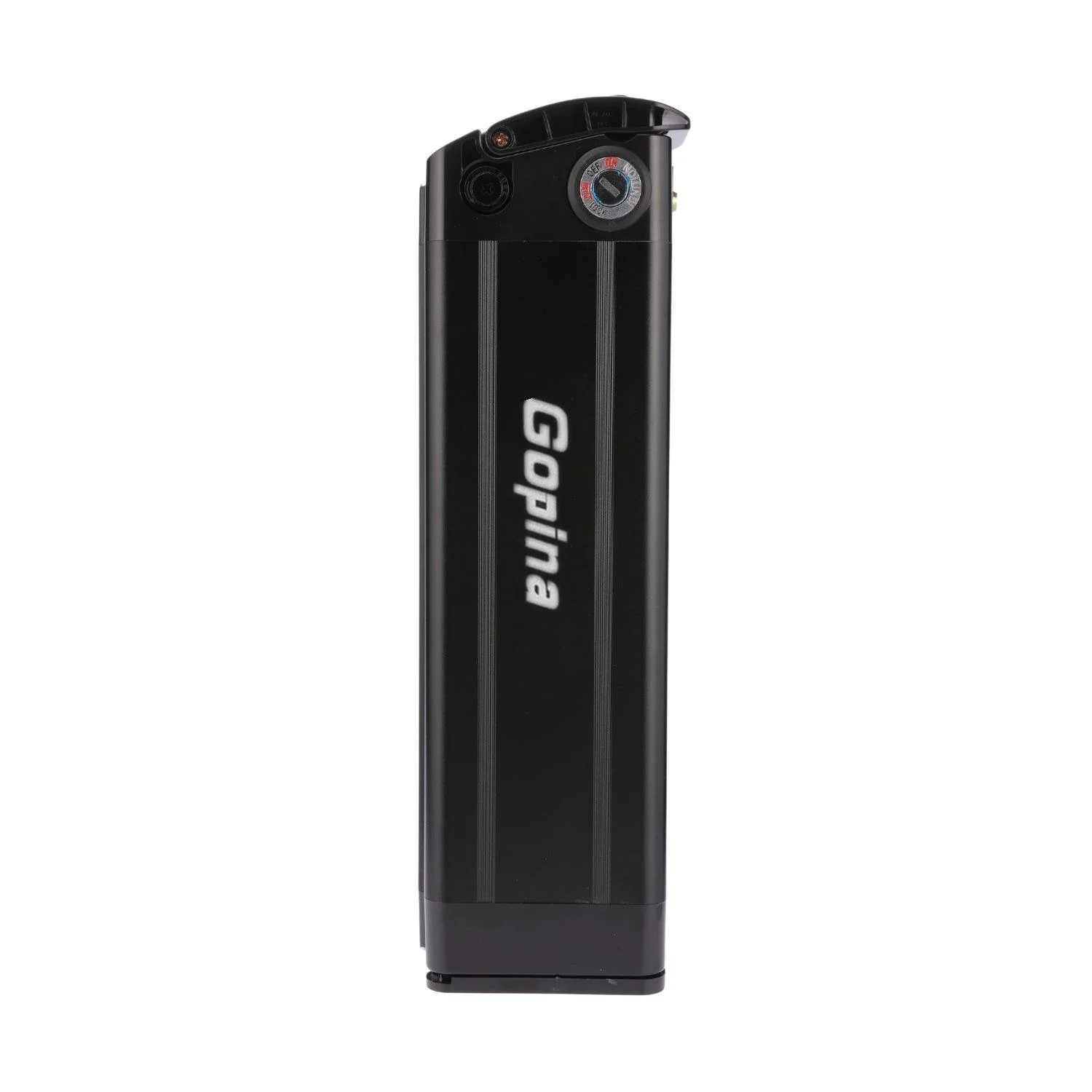 VIVI Electric Bike Battery For Gopina Ebike - Image 30