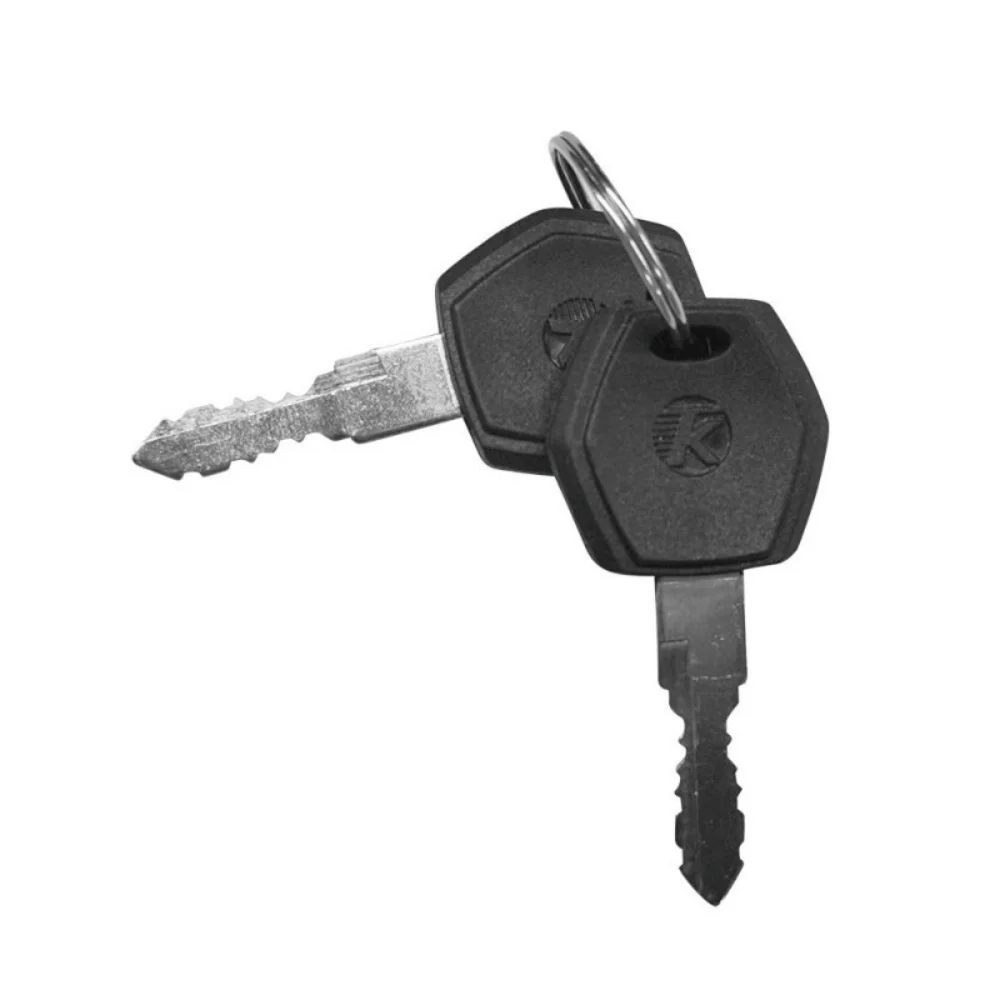 VIVI Electric Bike Battery Keys (Customized) - Image 4