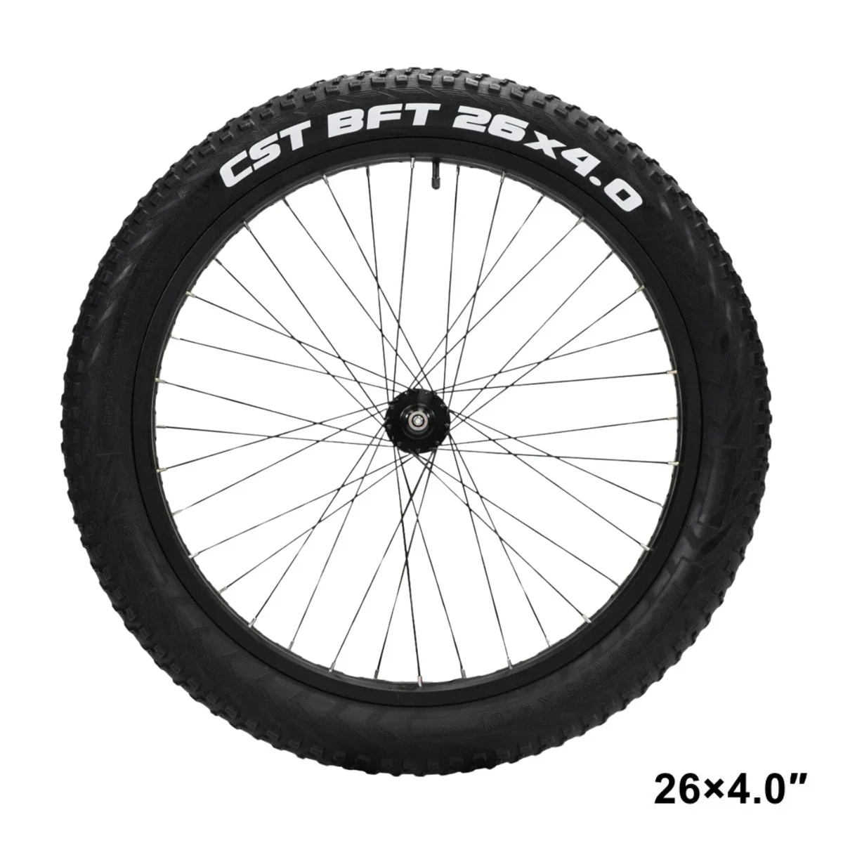 VIVI Electric Bike Front Wheels - Image 31