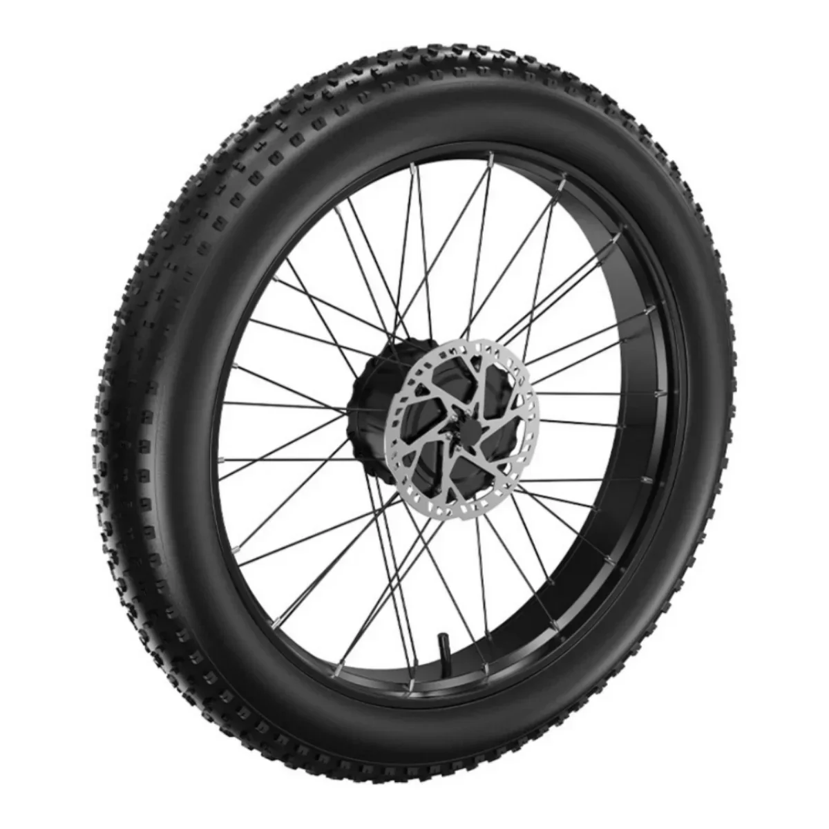 VIVI Electric Bike Rear Wheels - Image 31